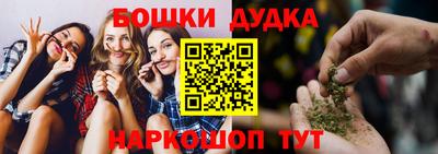 индика Нягань