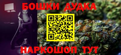 индика Нягань