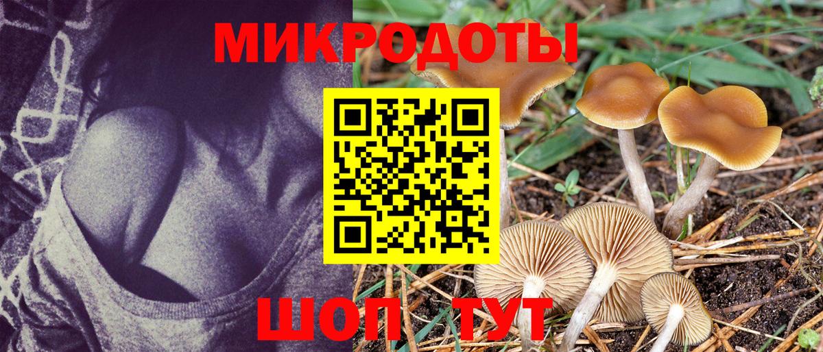 Сарапул  Галлюциногенные грибы ЛСД  Галлюциногенные грибы MAGIC MUSHROOMS  купить наркотик  Вход с VPN 